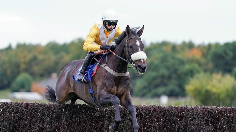 Darling Maltaix has won three of his 12 starts over fences