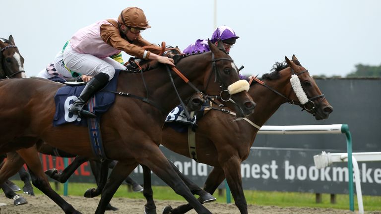 Mohareb (near side, pink and brown) won at Lingfield two weeks ago