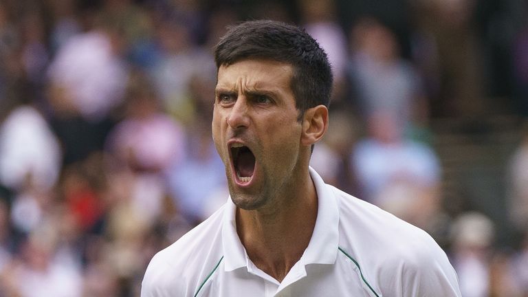 Novak Djokovic is going in search of a record-equalling 20th Grand Slam title on Sunday with Matteo Berrettini aiming to win a first