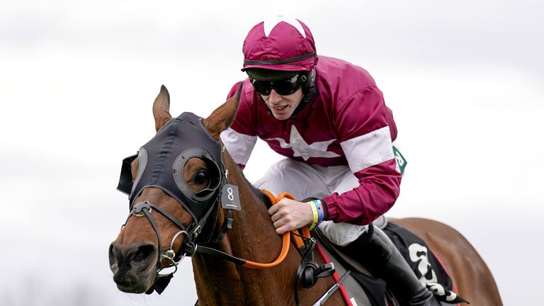 Tiger Roll, double vainqueur du Grand National, a reçu une 