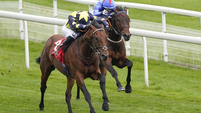 Surrey Pride in winning action at York