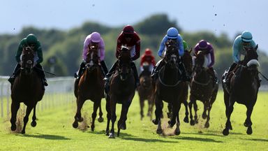 Autumn Flight wins the opening Racing League race at Windsor