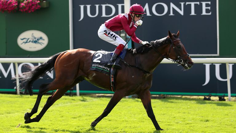 Mishriff and David Egan wins the Juddmonte International Stakes during Juddmonte International day of the Welcome to Yorkshire Ebor Festival 2021 at York racecourse. Picture date: Wednesday August 18, 2021. See PA story RACING York. Photo credit should read: Nigel French/PA Wire. RESTRICTIONS: Use subject to restrictions. Editorial use only, no commercial use without prior consent from rights holder.