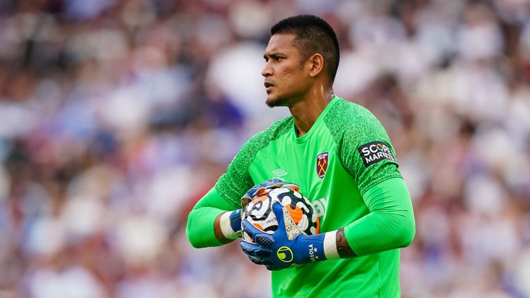 The loan signing of Alphonse Areola is the only significant arrival