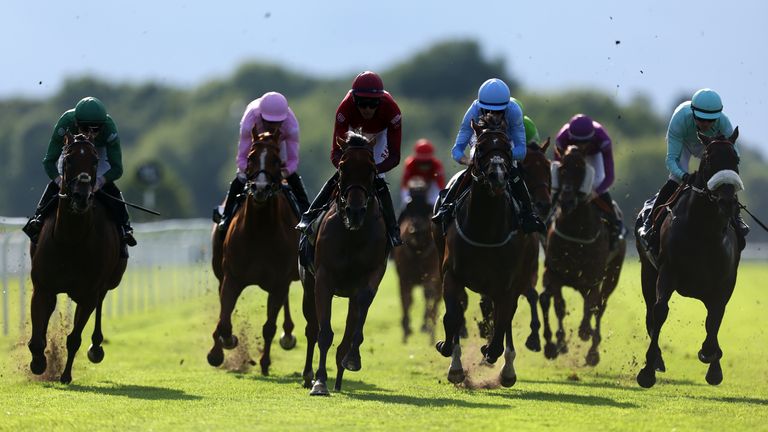 Autumn Flight wins the opening Racing League race at Windsor