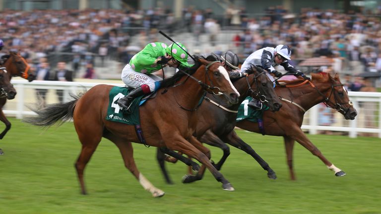 Desert Dreamer (near side) is beaten by Zain Claudette at Ascot