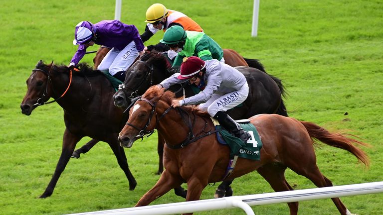 Go Bears Go (purple) is beaten by Ebro River (near side) in the Phoenix Stakes