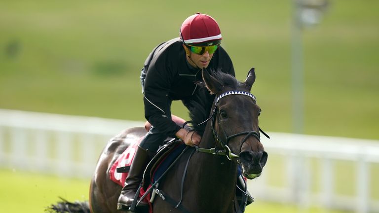 Mystery Angel gallops at Epsom before her run in the Oaks