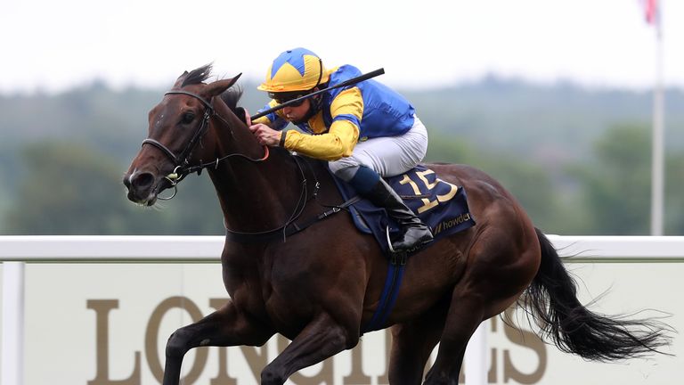 Wonderful Tonight is on target to run in the Prix de l'Arc de Triomphe