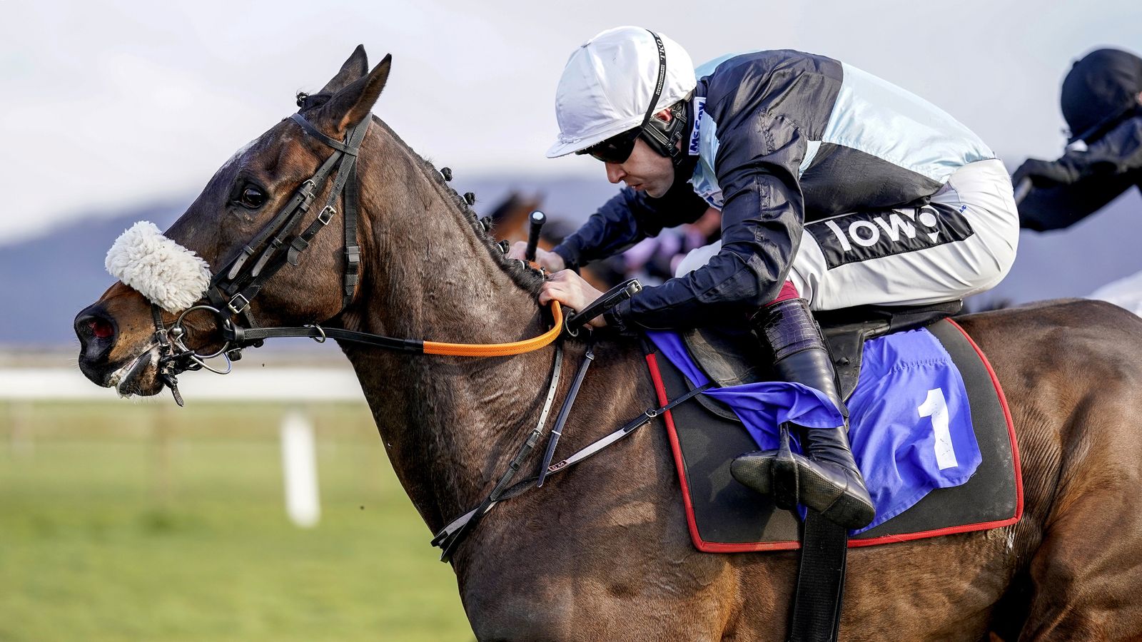 Oll Murphy Racing Long Walk Hurdle: Olly Murphy puts faith in Thomas Darby's substitute ...