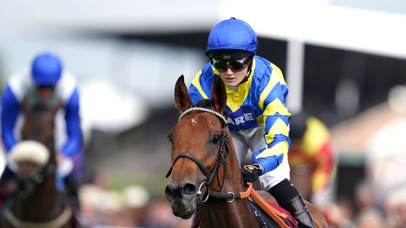 Trueshan taken out of Gold Cup with no rain at Ascot