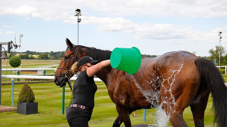 Amy Murphy washes down Mercian Prince