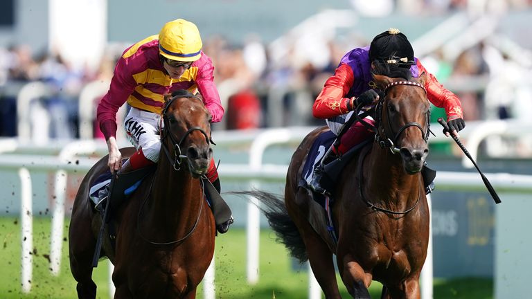 Bayside Boy (yellow cap) beats Reach For The Moon to win Doncaster's Champagne Stakes