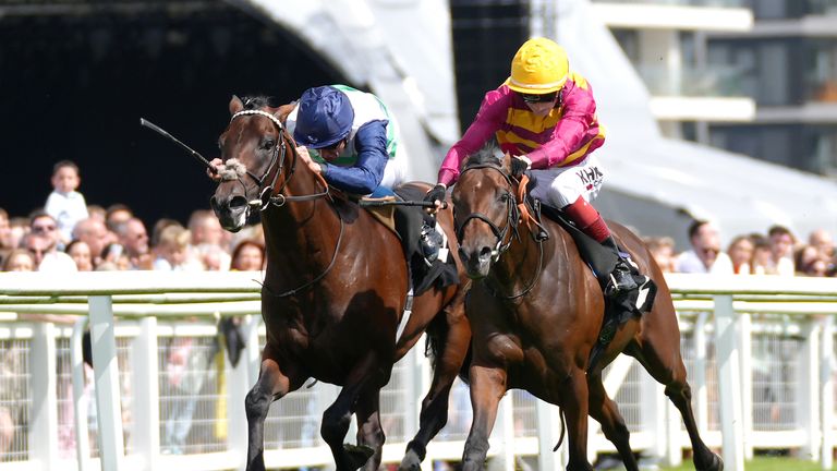 Bayside Boy is just beaten by Masekela at Newbury