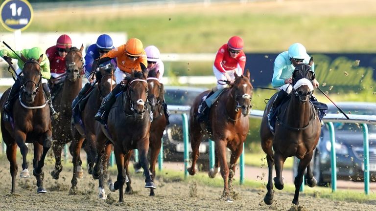 Billhilly (orange) comes through the field to win at Lingfield for Goat Racing