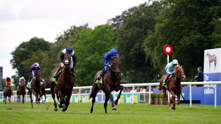 Dhabab (far right) comes home third behind Native Trail in the Superlative Stakes