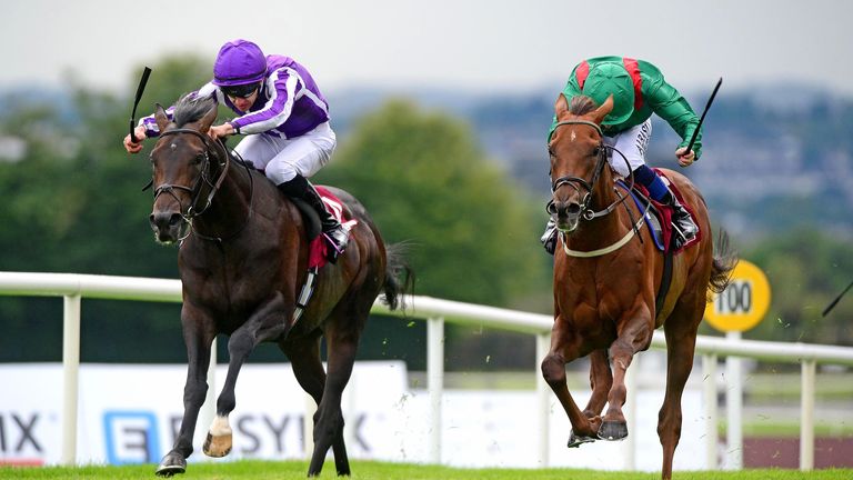 Innisfree returned after two-year absence to be fifth in the Royal Whip Stakes