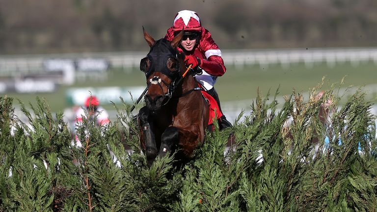 Six horses previously trained by Elliott won at this year's Cheltenham Festival, including two-time Grand National winner Tiger Roll