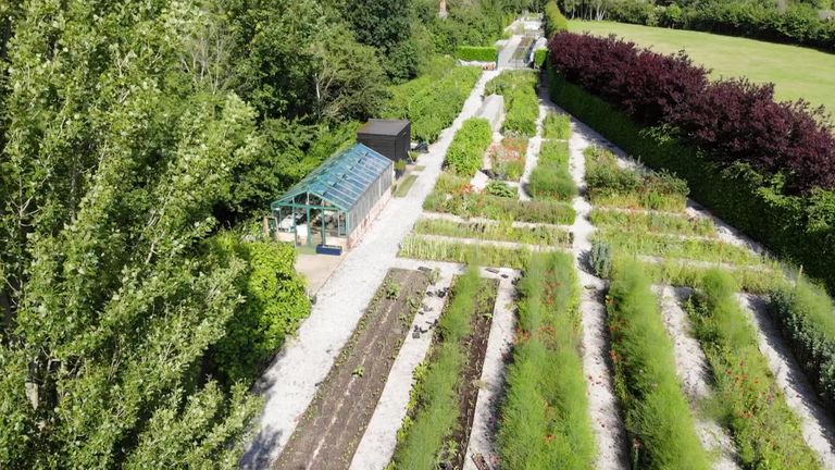 Tottenham grow their own fruits, vegetables and more in their kitchen garden