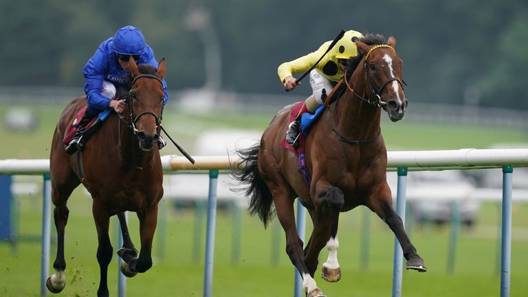 Triple Time wins the Ascendant Stakes at Haydock in emphatic style