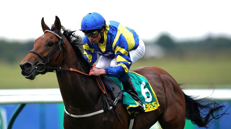 Trueshan has been withdrawn from the Doncaster Cup field due to the ground conditions