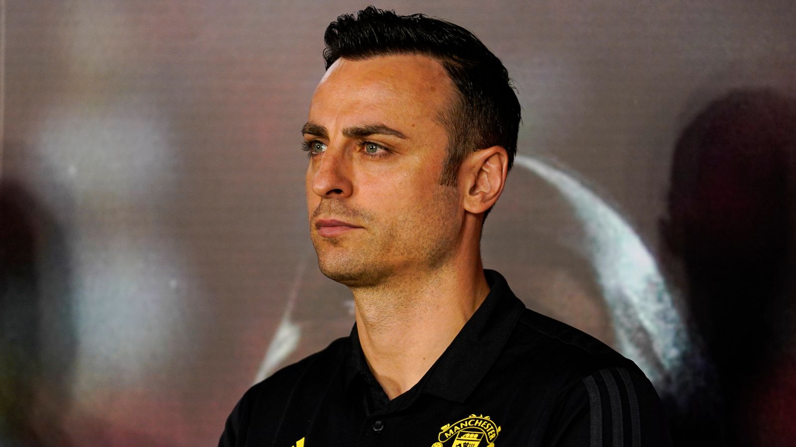 Dimitar Berbatov: Former Man Utd ahead faces day of future in battle to develop into Bulgarian Soccer Union President