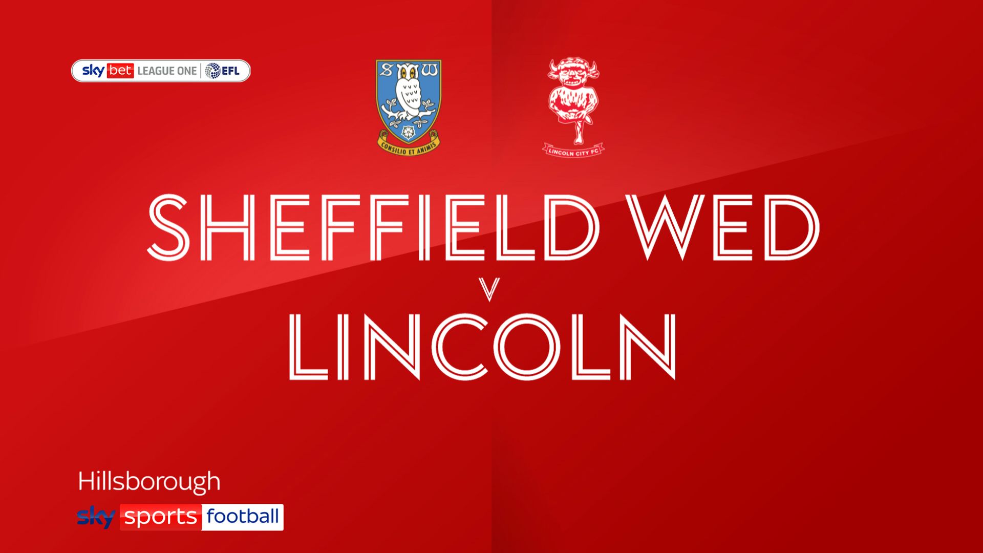 Lincoln hit back to hold Sheff Wed