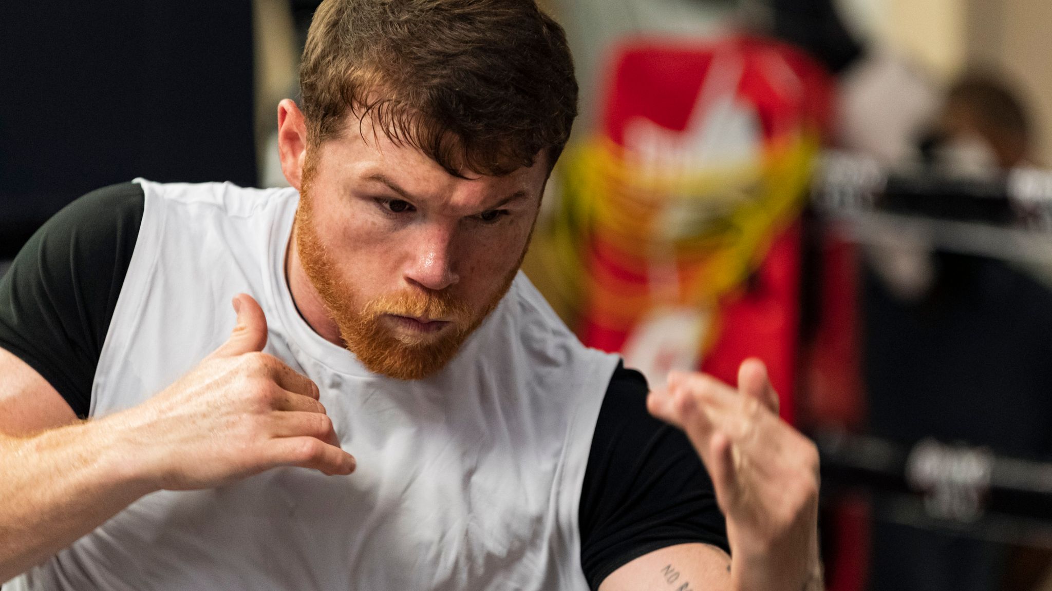 Saul 'Canelo' Alvarez on Caleb Plant before undisputed fight: 'It's the  most animosity I've had with an opponent' | Boxing News | Sky Sports