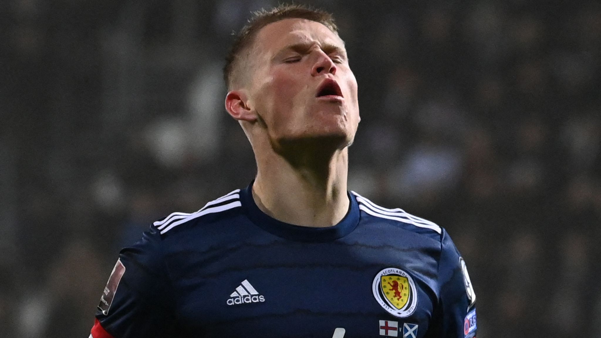 Шотландский скотт. Традиционный шотландский костюм. Шотландский бык хайленд. Шотландский скотт. Шотландский скотт.