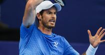Gutsy Murray falls to slick Schwartzman in Antwerp