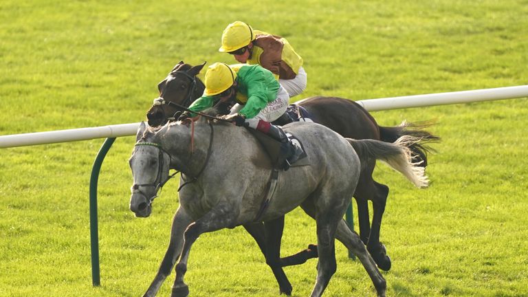 Oisin Murphy rides Buzz (near side) to win the Cesarewitch from former Triumph winner Burning Victory