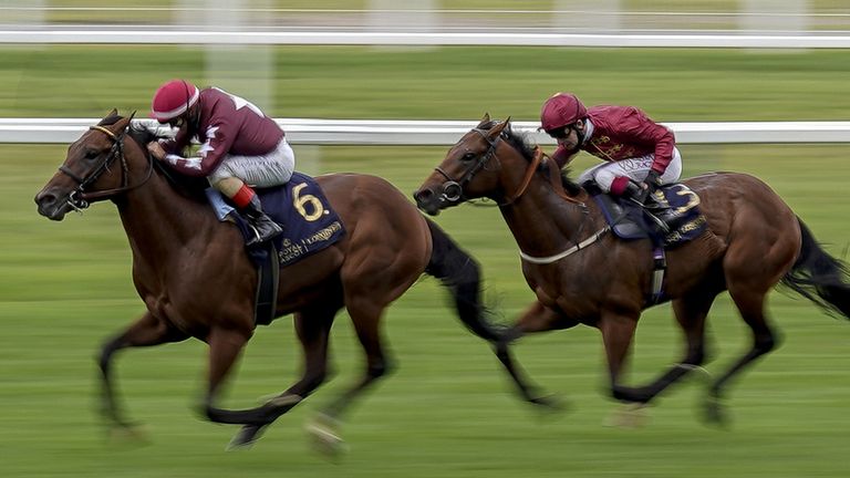 Wesley Ward's Golden Pal going down narrowly in the Norfolk Stakes at Ascot