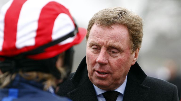 Harry Redknapp owns Shakem Up'Arry, who goes chasing this season