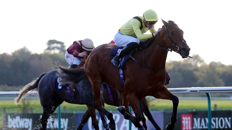 James Doyle rides Maamora to victory in the Listed Fleur De Lys Fillies&#39; Stakes at Lingfield