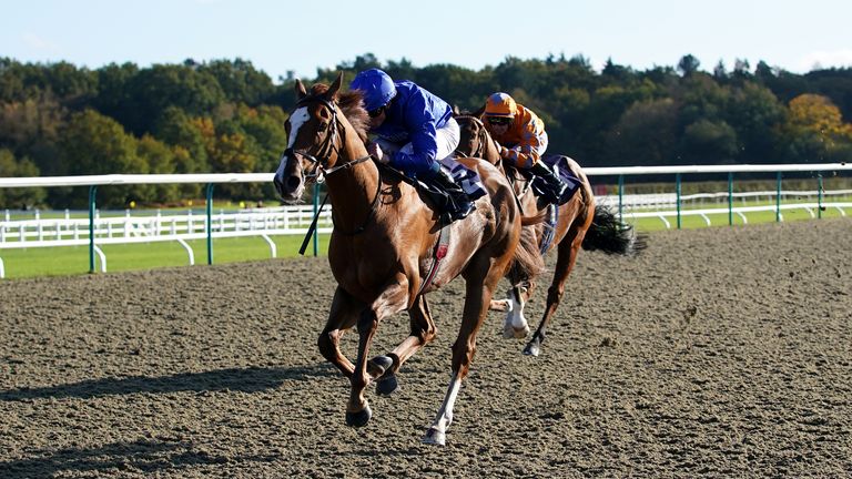 Modern News wins at Lingfield under William Buick
