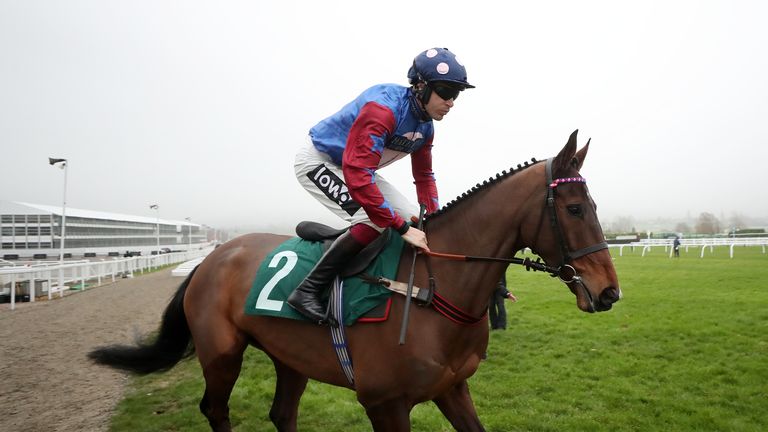 Paisley Park ridden by Aidan Coleman