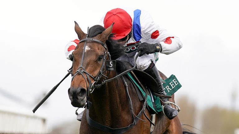 Proktektorat on his way to win at Aintree in April