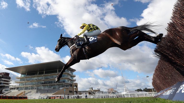 Shishkin won the Arkle last season at Cheltenham