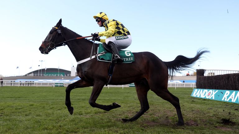 Shishkin landing the spoils at Aintree