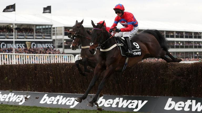 Sprinter Sacre won the Champion Chase in 2016