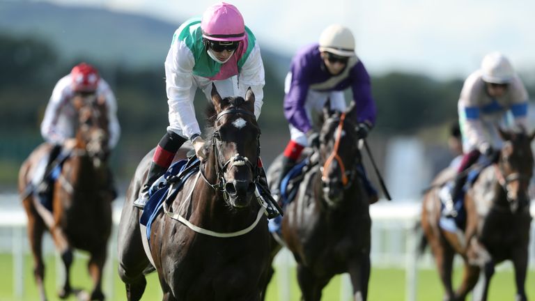 Straight Answer wins at the Curragh