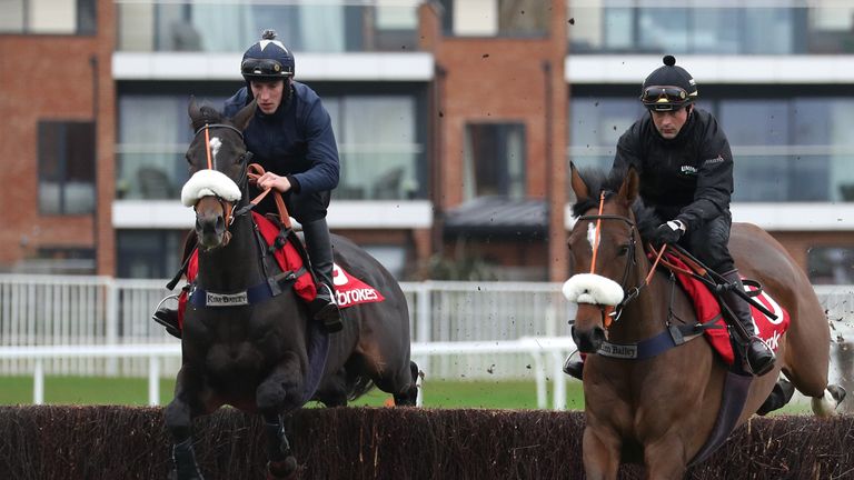 Vinndication (left) has a spin over fences at Newbury before last year's Ladbrokes Trophy