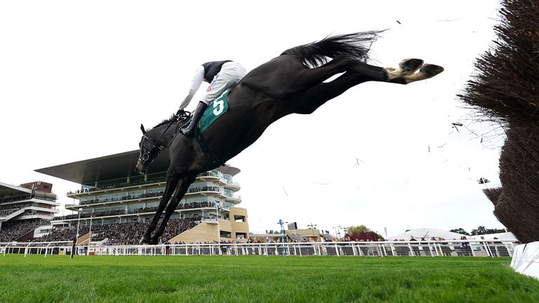 Third Time Lucki ridden by jockey Harry Skelton wins at Cheltenham