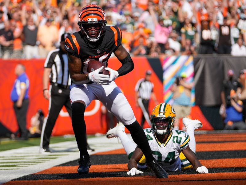 Green Bay Packers 36 vs 19 Cincinnati Bengals summary, stats and highlights