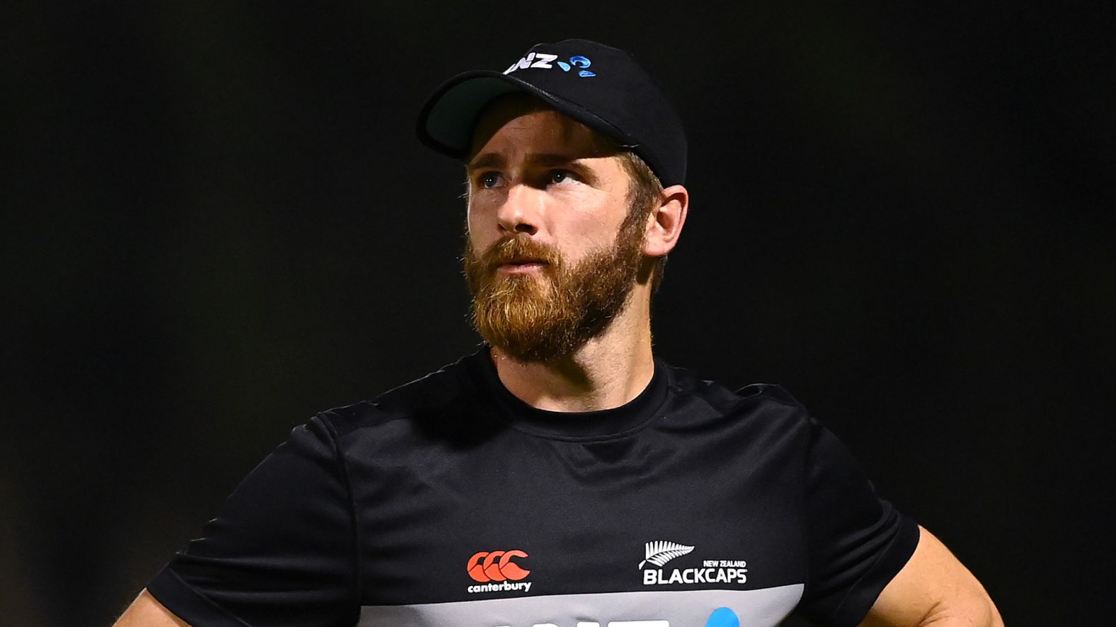 T20 World Cup Final: New Zealand Captain Kane Williamson Highlights ...