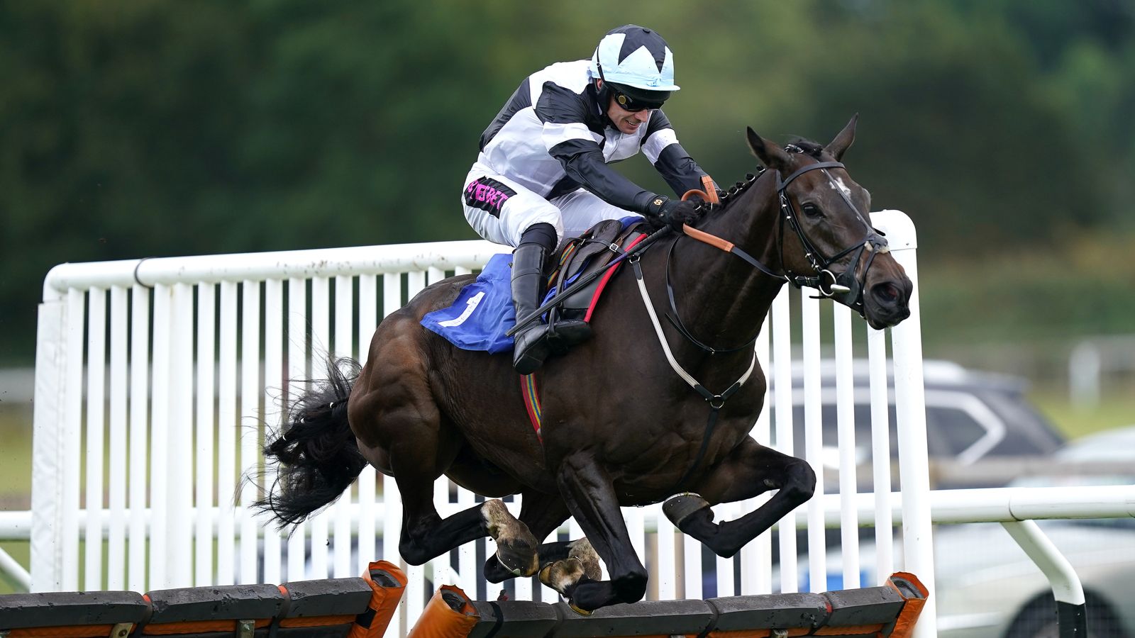 Greatwood Handicap Hurdle Former salon owner Sheila Lewis sets sights