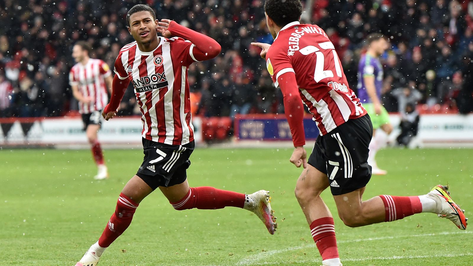 Шеффилд юнайтед халл прогноз. Чемпионшип англии – шеффилд юнайтед. sheffield united 1997. кпр фк. sheffield united 1996.
