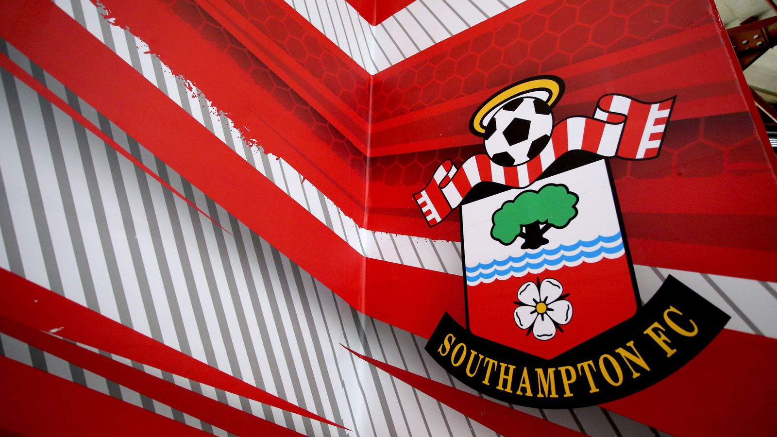 Southampton takeover Club confirm Serbian-born businessman Dragan Solak has completed £100m deal Football News Sky Sports