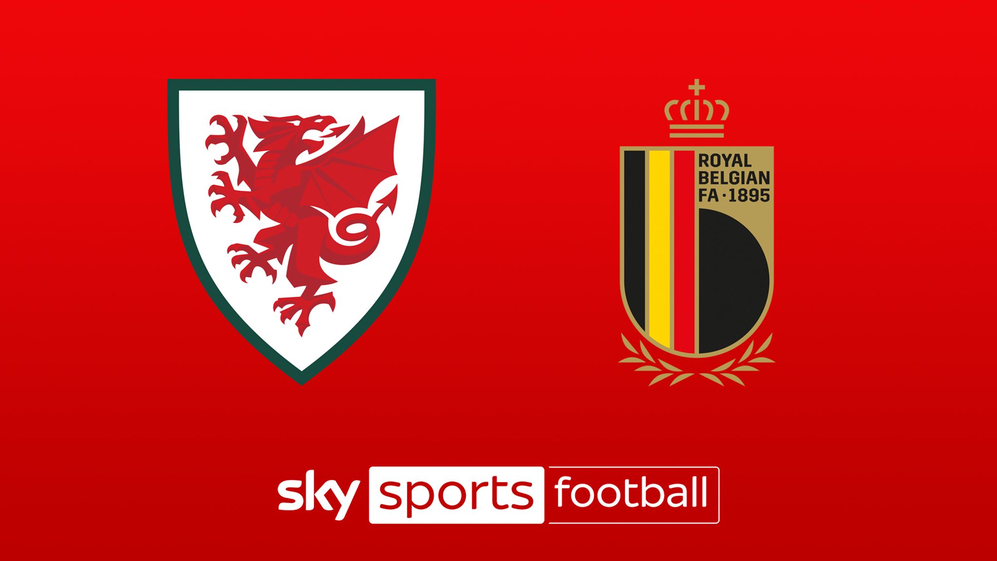Wales vs Belgium Highlights 16 November 2021