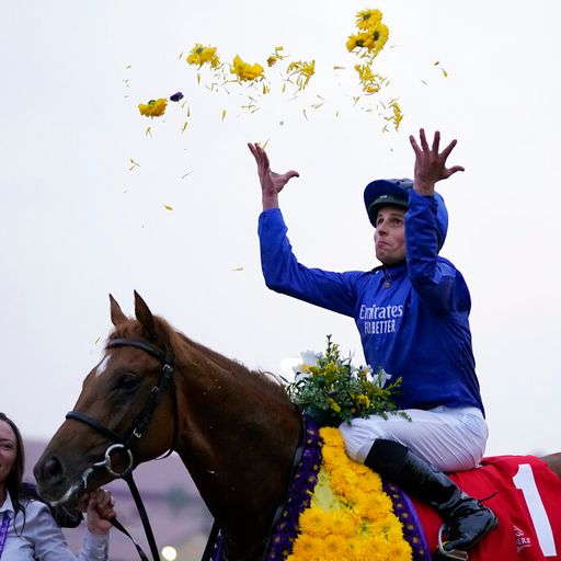 The best in the world head for the Breeders' Cup!